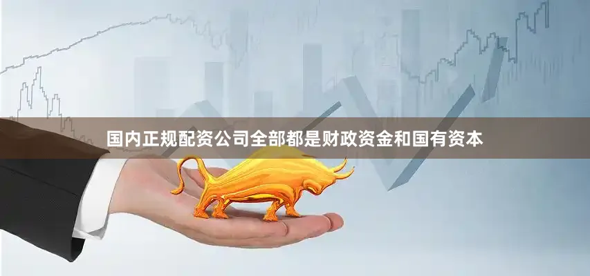 国内正规配资公司全部都是财政资金和国有资本