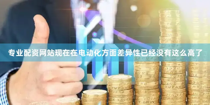 专业配资网站现在在电动化方面差异性已经没有这么高了
