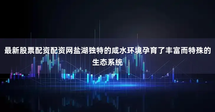 最新股票配资配资网盐湖独特的咸水环境孕育了丰富而特殊的生态系统