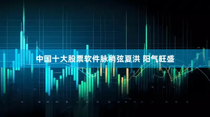 中国十大股票软件脉稍弦夏洪 阳气旺盛